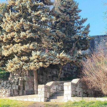 La Antigua Muralla Burgos Bagian luar foto